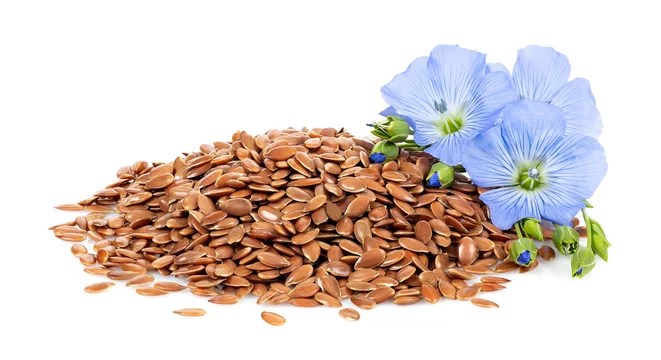 শণৰ বীজৰ উপকাৰীতা(Flaxseed Benefits)